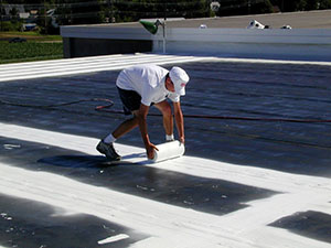 Roof Coating2