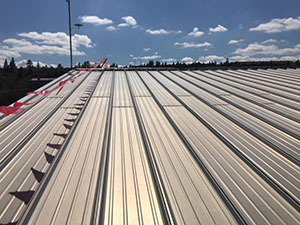 Single-Ply Roofing1